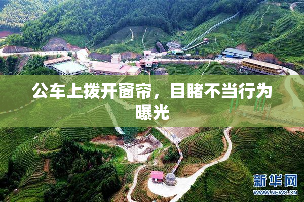 公车上拨开窗帘，目睹不当行为曝光