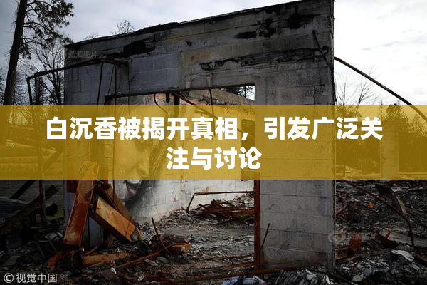 白沉香被揭开真相，引发广泛关注与讨论