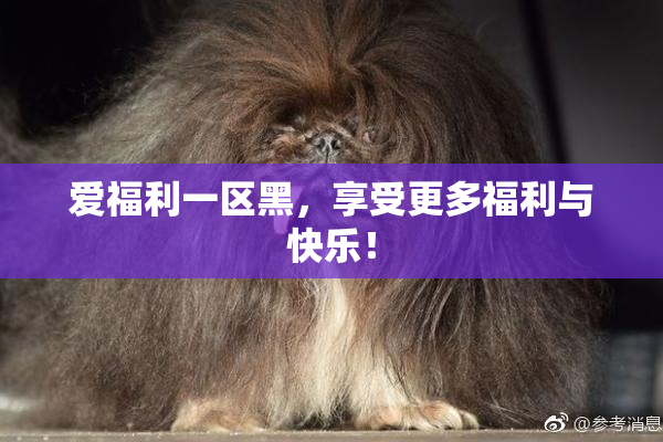 爱福利一区黑，享受更多福利与快乐！