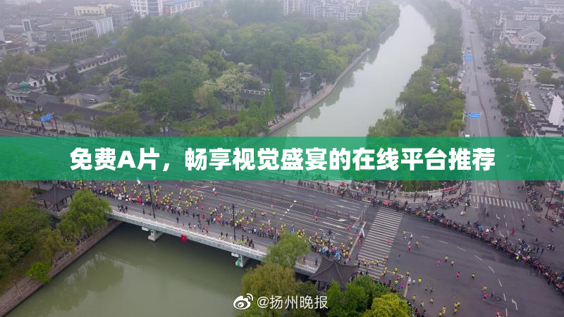 免费A片，畅享视觉盛宴的在线平台推荐