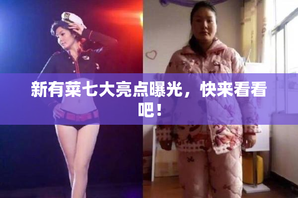 新有菜七大亮点曝光，快来看看吧！