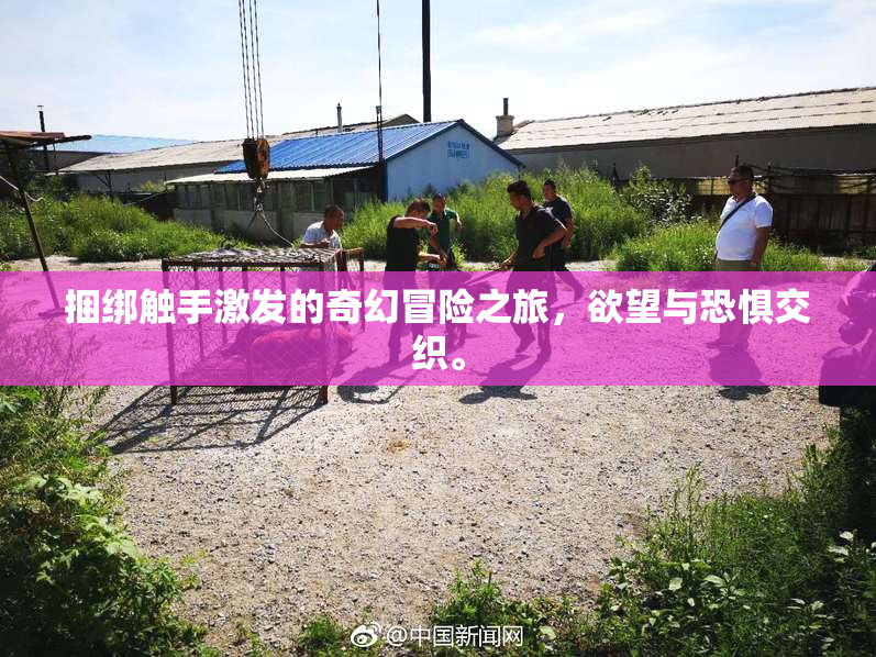 捆绑触手激发的奇幻冒险之旅，欲望与恐惧交织。