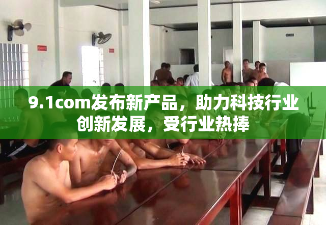 9.1com发布新产品，助力科技行业创新发展，受行业热捧