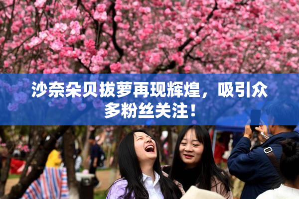 沙奈朵贝拔萝再现辉煌，吸引众多粉丝关注！