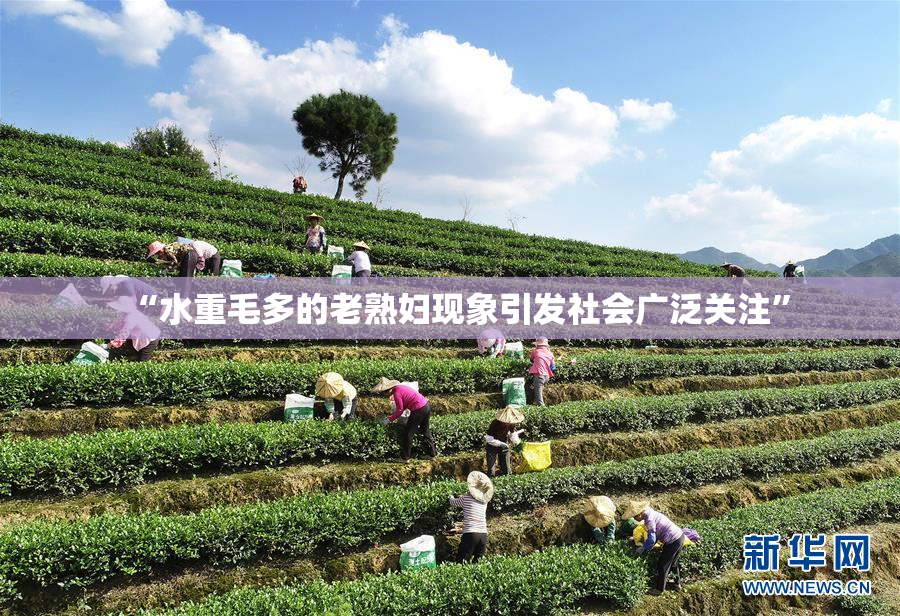 “水重毛多的老熟妇现象引发社会广泛关注”