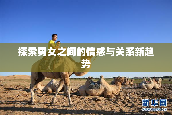 探索男女之间的情感与关系新趋势