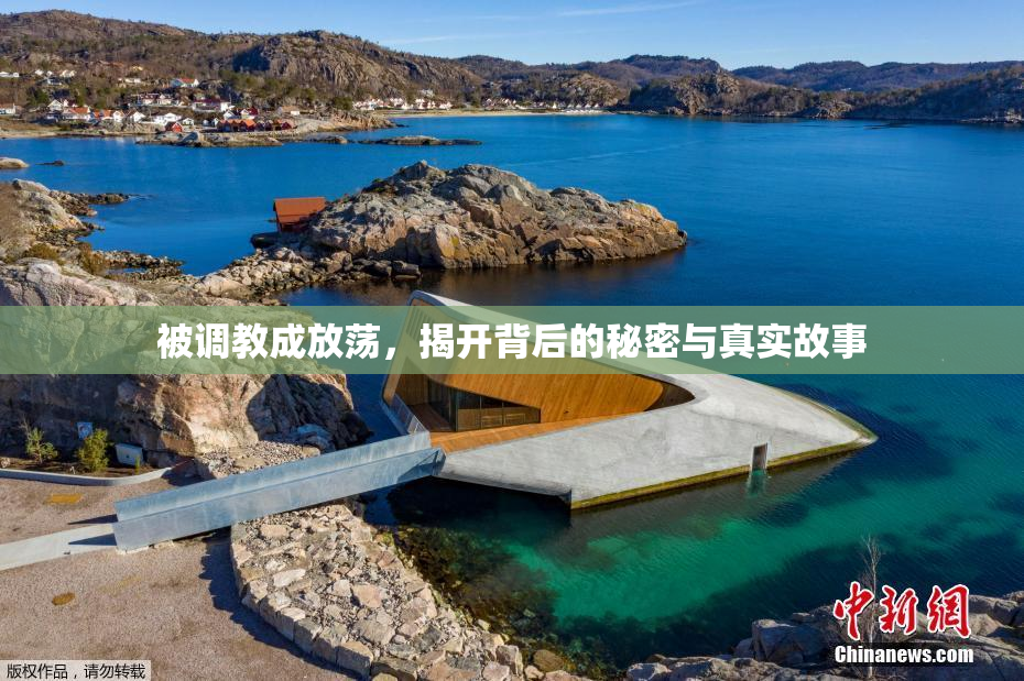 被调教成放荡，揭开背后的秘密与真实故事