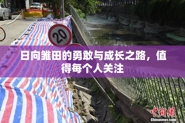 日向雏田的勇敢与成长之路，值得每个人关注