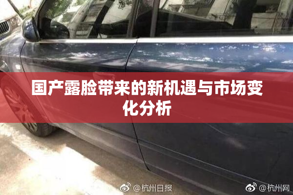 国产露脸带来的新机遇与市场变化分析
