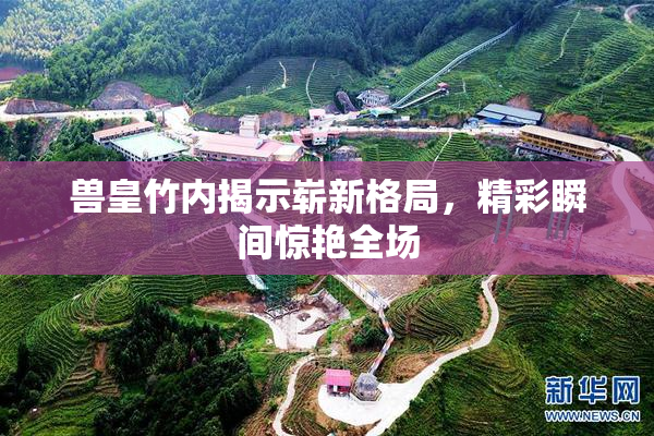 兽皇竹内揭示崭新格局，精彩瞬间惊艳全场