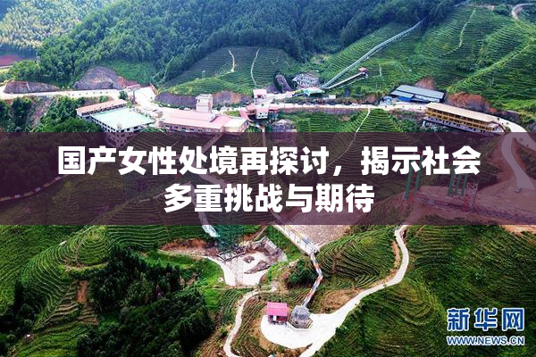 国产女性处境再探讨，揭示社会多重挑战与期待