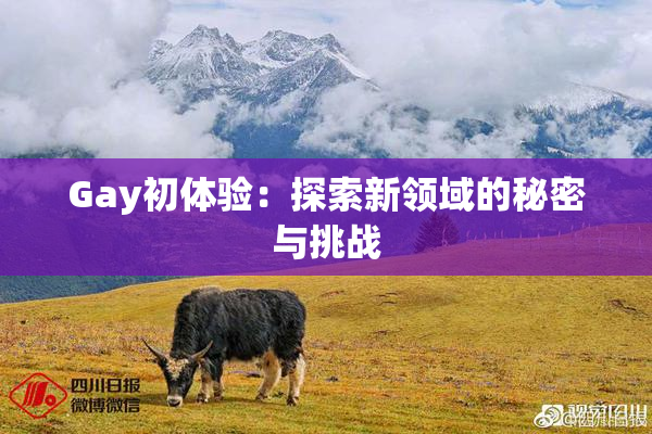 Gay初体验：探索新领域的秘密与挑战