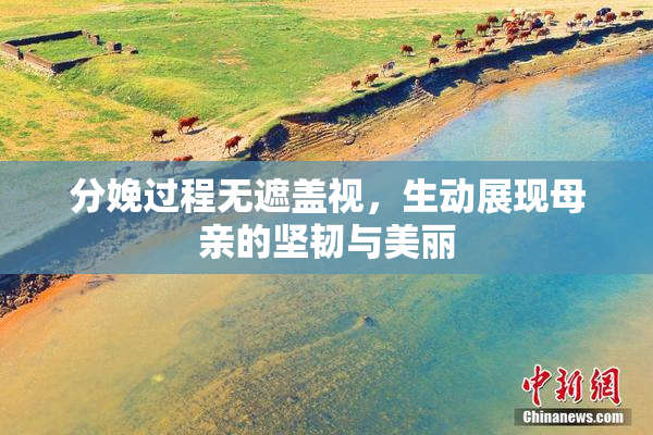 分娩过程无遮盖视，生动展现母亲的坚韧与美丽