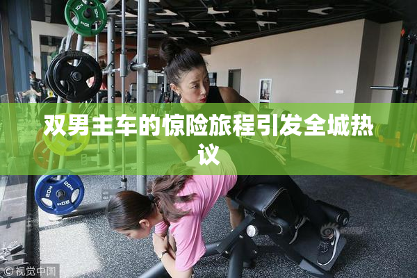 双男主车的惊险旅程引发全城热议