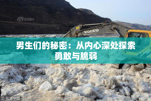 男生们的秘密：从内心深处探索勇敢与脆弱