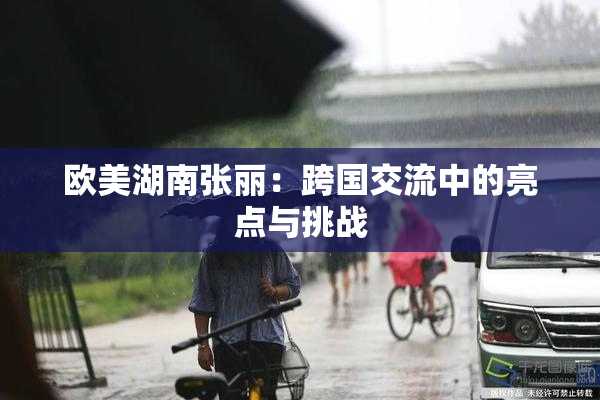 欧美湖南张丽：跨国交流中的亮点与挑战