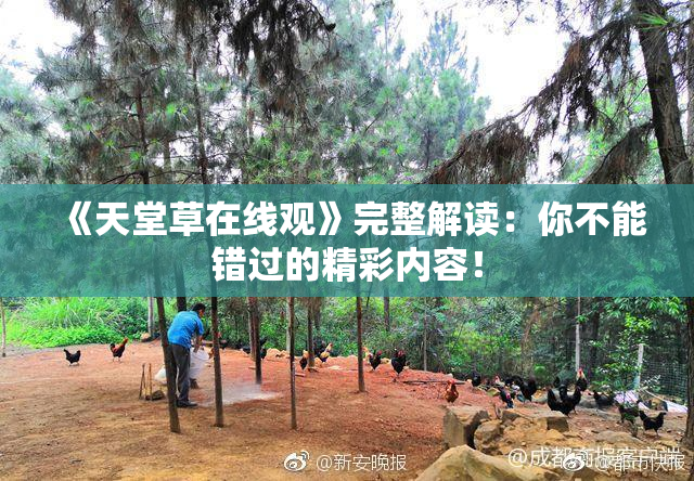 《天堂草在线观》完整解读：你不能错过的精彩内容！