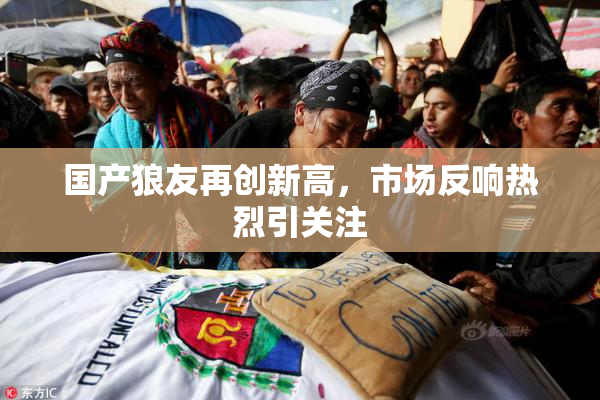 国产狼友再创新高，市场反响热烈引关注