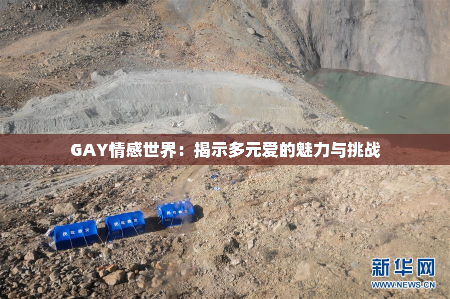 GAY情感世界：揭示多元爱的魅力与挑战