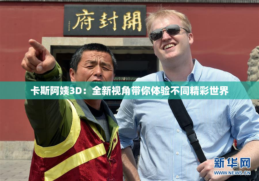 卡斯阿姨3D：全新视角带你体验不同精彩世界