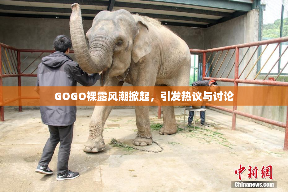 GOGO裸露风潮掀起，引发热议与讨论