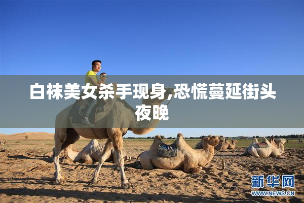 白袜美女杀手现身,恐慌蔓延街头夜晚