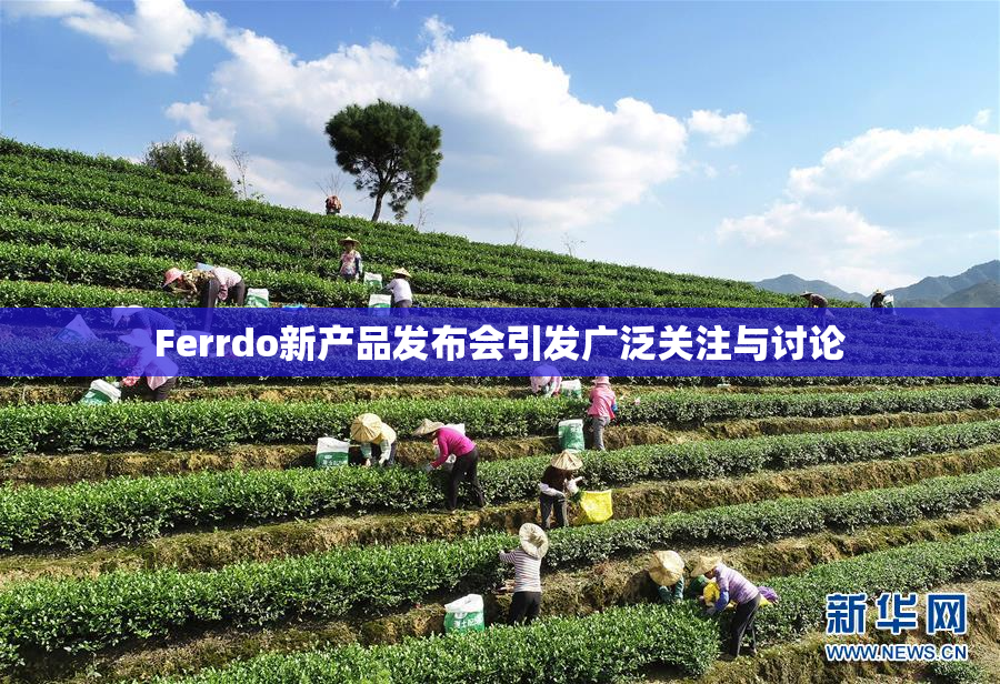 Ferrdo新产品发布会引发广泛关注与讨论