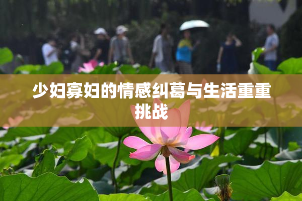 少妇寡妇的情感纠葛与生活重重挑战