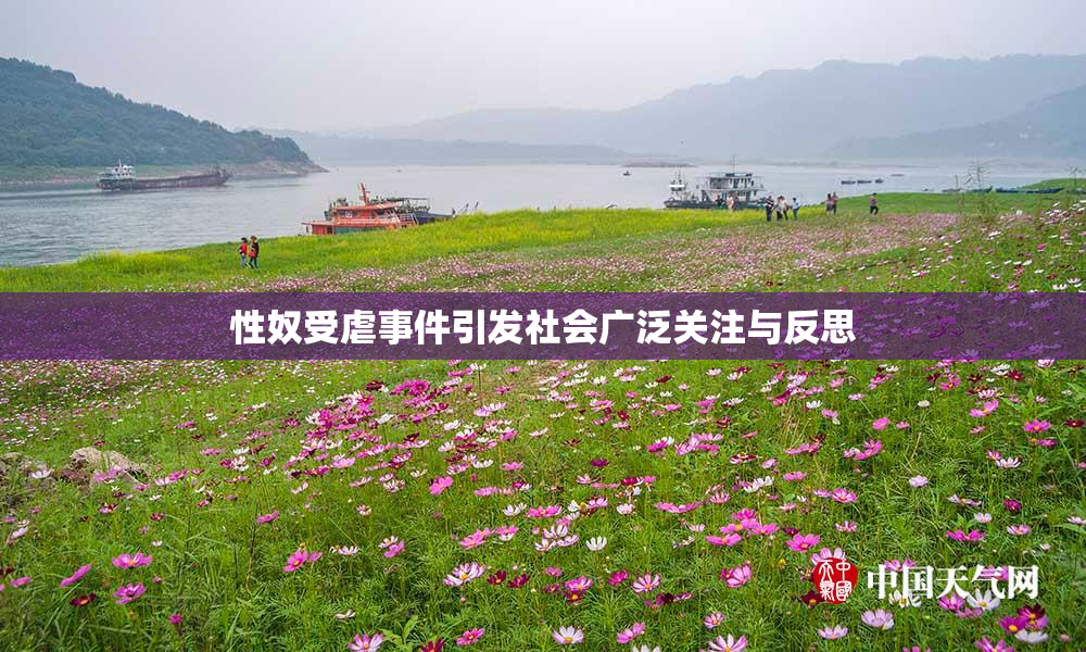 性奴受虐事件引发社会广泛关注与反思