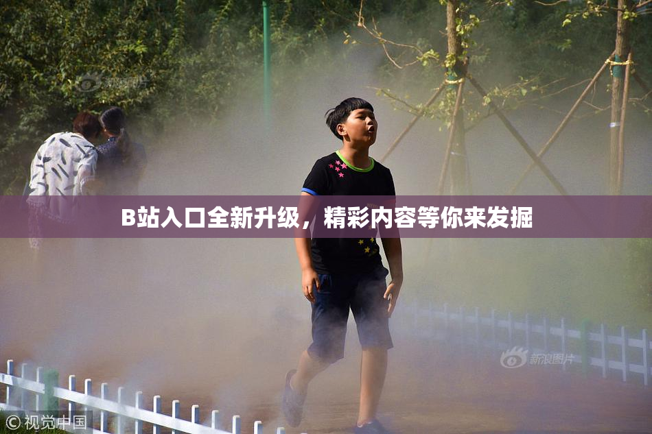 B站入口全新升级，精彩内容等你来发掘