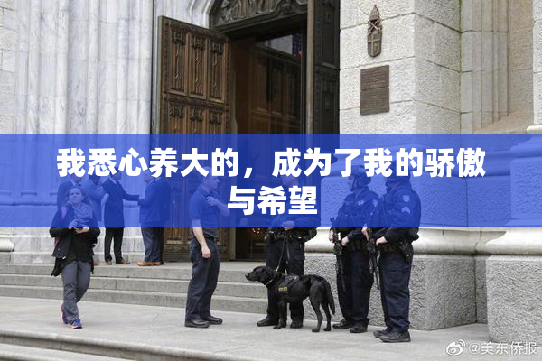 我悉心养大的，成为了我的骄傲与希望