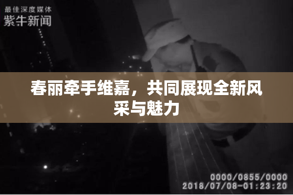 春丽牵手维嘉，共同展现全新风采与魅力