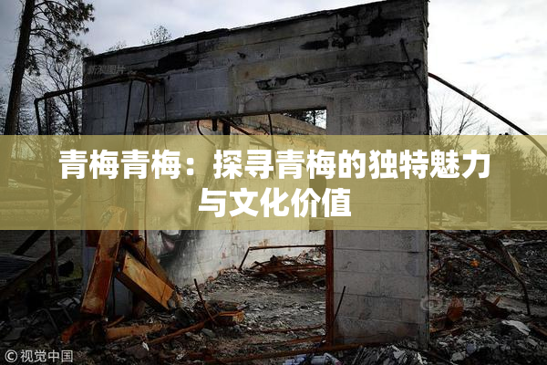 青梅青梅：探寻青梅的独特魅力与文化价值