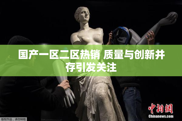 国产一区二区热销 质量与创新并存引发关注