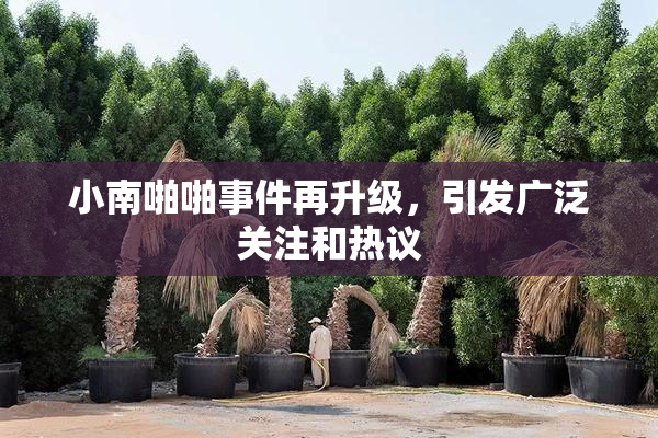 小南啪啪事件再升级，引发广泛关注和热议