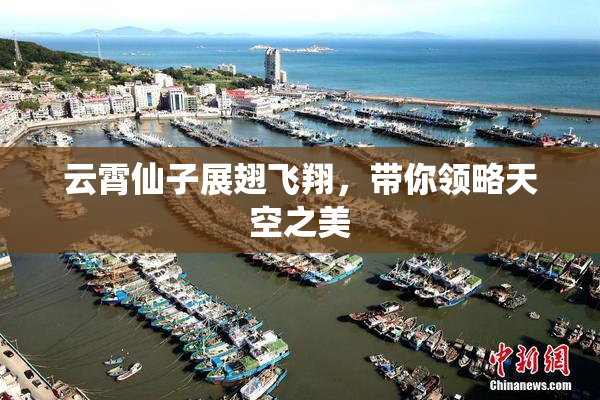 云霄仙子展翅飞翔，带你领略天空之美