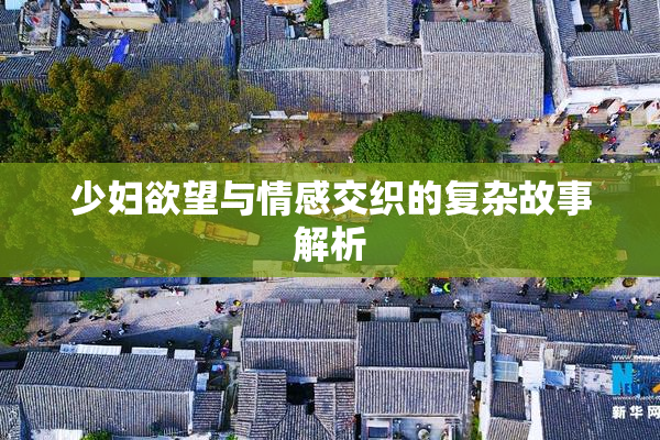 少妇欲望与情感交织的复杂故事解析