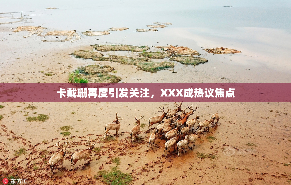 卡戴珊再度引发关注，XXX成热议焦点