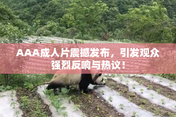 AAA成人片震撼发布，引发观众强烈反响与热议！