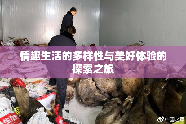 情趣生活的多样性与美好体验的探索之旅