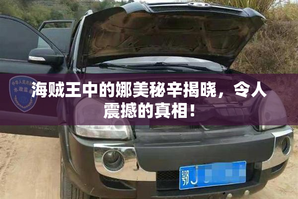 海贼王中的娜美秘辛揭晓，令人震撼的真相！