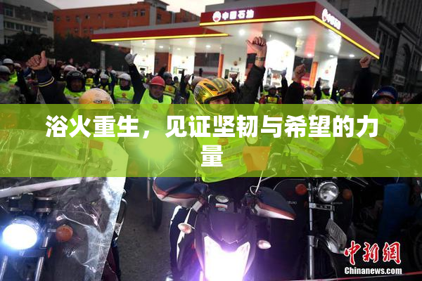 浴火重生，见证坚韧与希望的力量