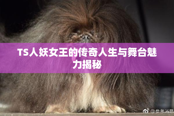 TS人妖女王的传奇人生与舞台魅力揭秘