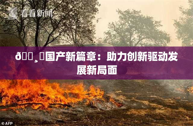 🌸‌国产新篇章：助力创新驱动发展新局面