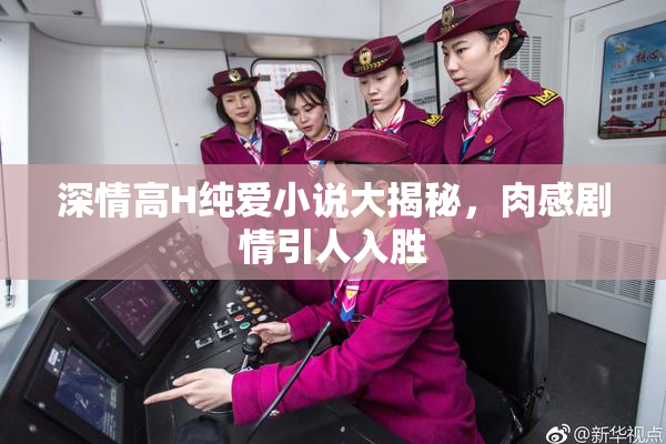 深情高H纯爱小说大揭秘，肉感剧情引人入胜