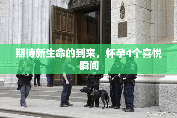期待新生命的到来，怀孕4个喜悦瞬间