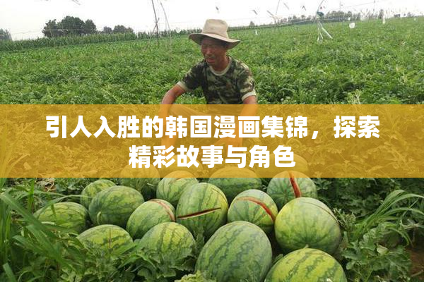 引人入胜的韩国漫画集锦，探索精彩故事与角色