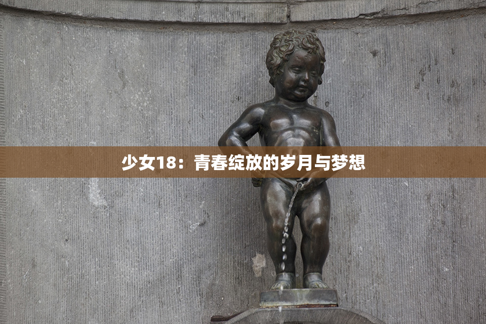 少女18：青春绽放的岁月与梦想