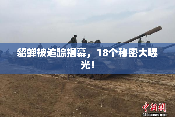 貂蝉被追踪揭幕，18个秘密大曝光！