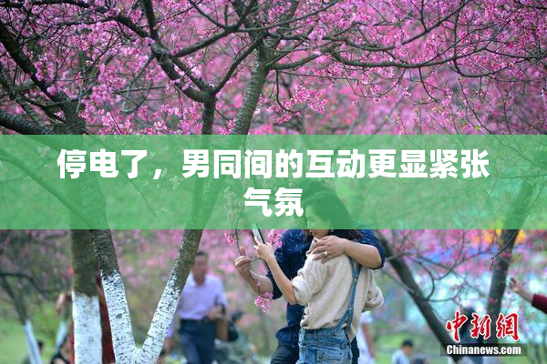 停电了，男同间的互动更显紧张气氛